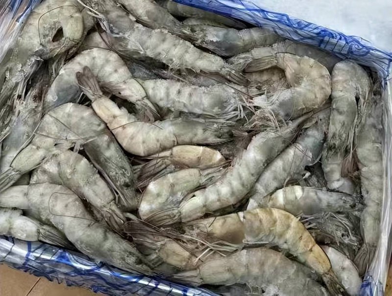 活海鲜配送行业趋势解读:新鲜与速度的完美融合