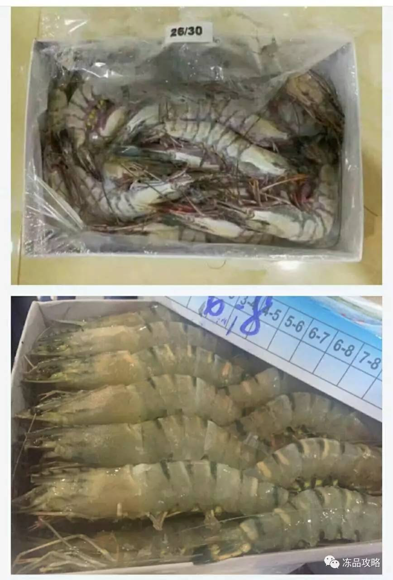 虾类批发