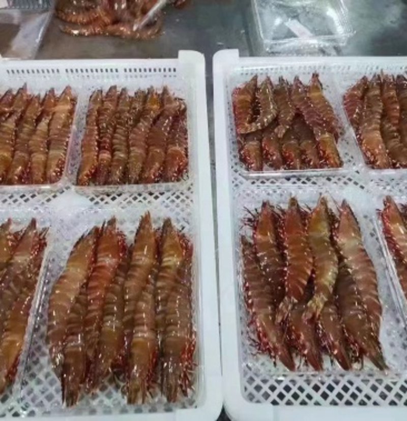 掌握水产品批发的销售技巧